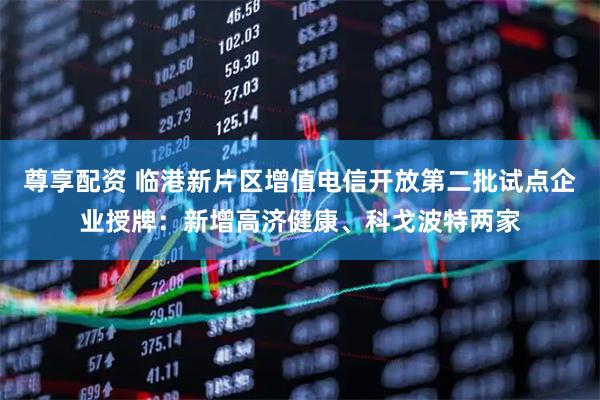 尊享配资 临港新片区增值电信开放第二批试点企业授牌：新增高济健康、科戈波特两家
