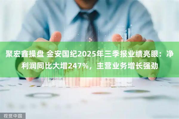 聚宏鑫操盘 金安国纪2025年三季报业绩亮眼：净利润同比大增247%，主营业务增长强劲